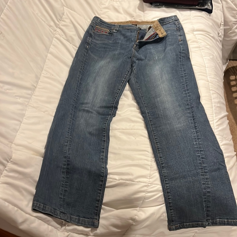 Lane Bryant Venezia 16 Embroidered Jeans